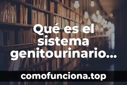 Que es la capacidad funcional en el adulto mayor 5 Qué es el sistema genitourinario en el adulto mayor