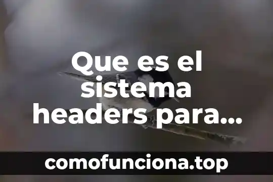 Que es el concepto clasico 5 Que es el sistema headers para vocho