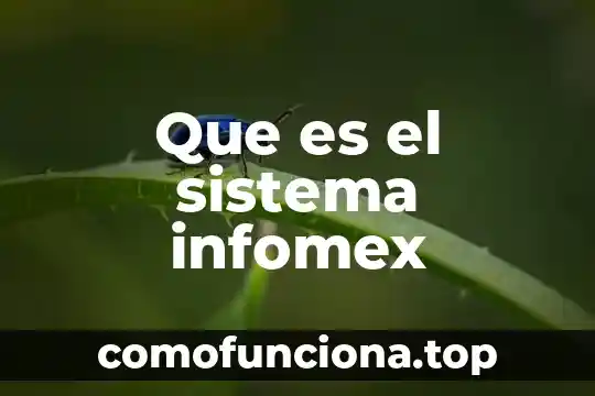 Que es el concepto clasico 4 Que es el sistema infomex