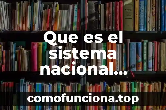 Qué es comisión nacional bancaria y de valores cnbv 4 Que es el sistema nacional haciendario en linea