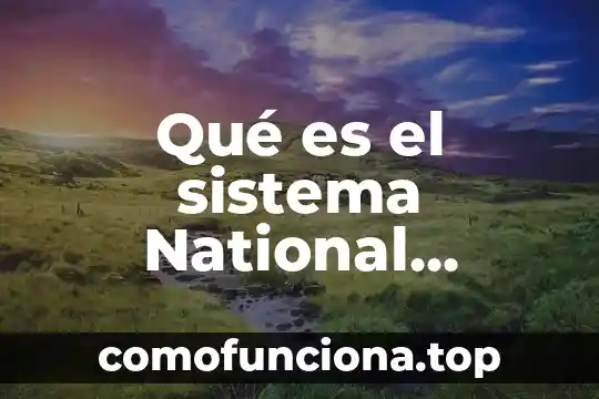Qué es el sistema urogenital animal 5 Qué es el sistema National Instruments