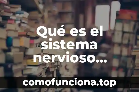 Qué es el tejido nervioso definición 7 Qué es el sistema nervioso central y está formado