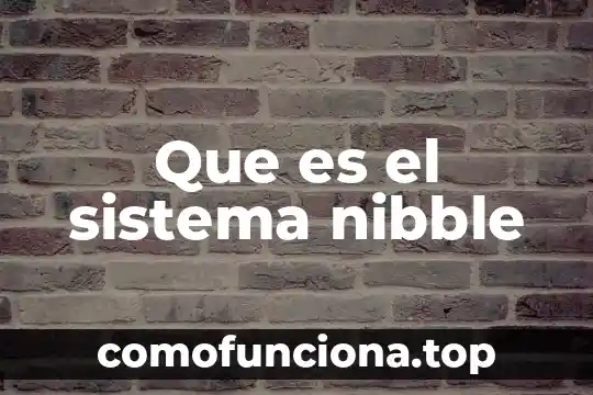 Feria cultural que es 3 Que es el sistema nibble