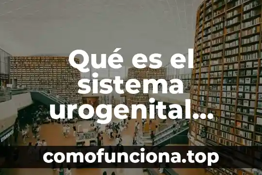 Qué es el tipos de itus solicitados en el sistema 6 Qué es el sistema urogenital animal