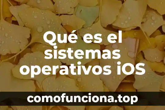Que es el estado del arte de los sistemas operativos 8 Qué es el sistemas operativos iOS