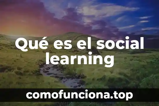 Que es una estructura social y en que consiste 3 Qué es el social learning