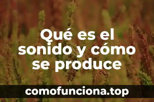 Qué es lo que produce el movimiento 5 Qué es el sonido y cómo se produce