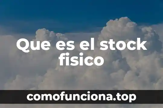 Qué es un principio físico 8 Que es el stock fisico