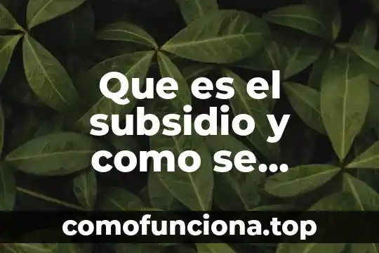 Que es educacion integra 3 Que es el subsidio y como se integra