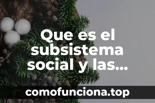 Que es la problematizacion de un problema social 8 Que es el subsistema social y las agrupaciones