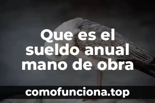 Que es el arte autonomo para peter bürger 4 Que es el sueldo anual mano de obra