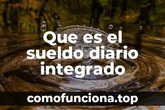 Significado que es un diario de clases 6 Que es el sueldo diario integrado