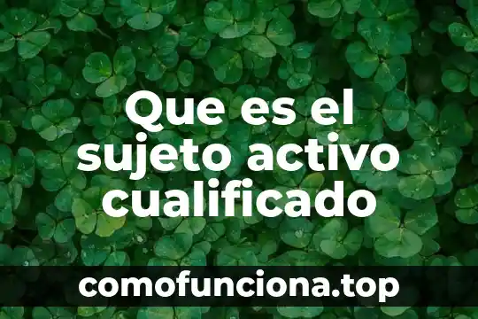 Qué es una sociedad políticamente activo 6 Que es el sujeto activo cualificado