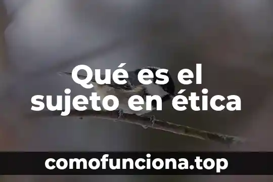 Que es la justicia en la etica 5 Qué es el sujeto en ética