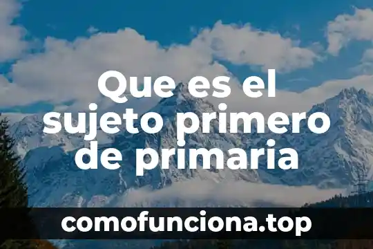 Qué es primero aprendizaje o conocimiento 7 Que es el sujeto primero de primaria