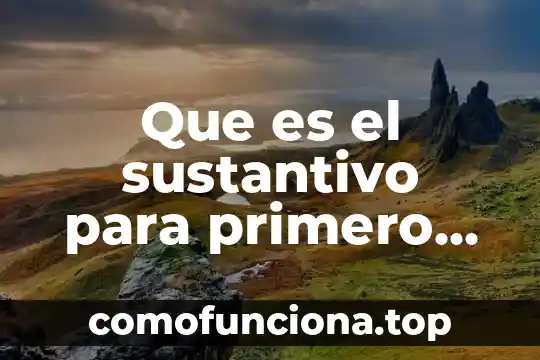 Qué es primero aprendizaje o conocimiento 5 Que es el sustantivo para primero de primaria