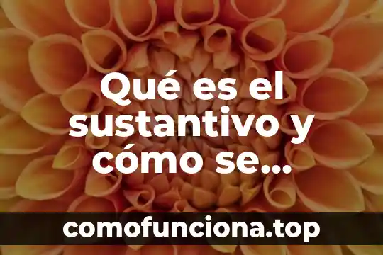 Que es la solidaridad en la sociedad ejemplos 6 Qué es el sustantivo y cómo se clasifica con ejemplos