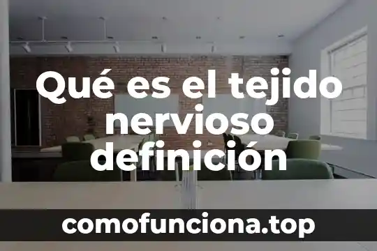 Qué es aferente en el sistema nervioso 3 Qué es el tejido nervioso definición