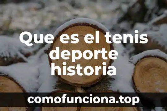 Que es la contrarreforma historia 3 Que es el tenis deporte historia