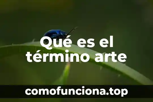 Que es considerado arte 3 Qué es el término arte