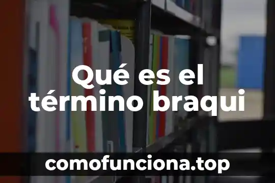 Que es recien nacido de termino 7 Qué es el término braqui