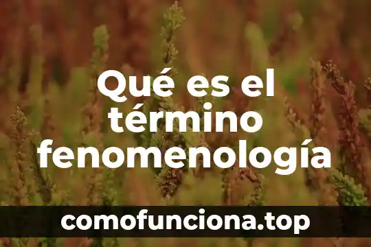 Qué es el término anglosajón 3 Qué es el término fenomenología
