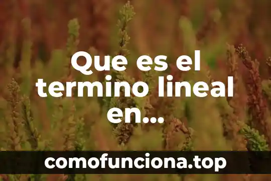 Qué es quilates concepto matemáticas 7 Que es el termino lineal en matemáticas
