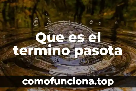 Block de que es historia 3 Que es el termino pasota