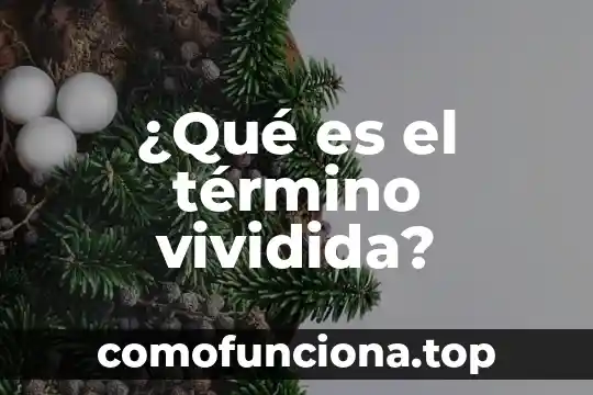 Que es la cultura organizacion en una editorial 6 ¿Qué es el término vividida?
