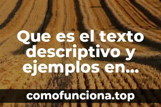 Que es el conocimiento descriptivo 7 Que es el texto descriptivo y ejemplos en ingles