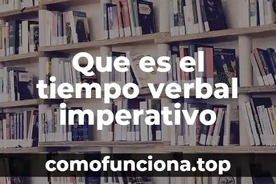 Que es un presupuesto de tiempo en auditoria 5 Que es el tiempo verbal imperativo
