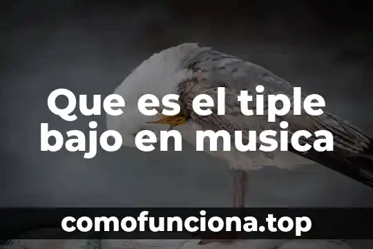 Qué es la música y sus principios básicos 5 Que es el tiple bajo en musica