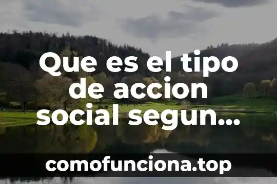 Qué es el weber 8 Que es el tipo de accion social segun weber