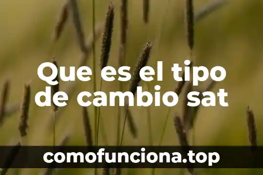 Cuál es el signo que es el más miedoso 7 Que es el tipo de cambio sat