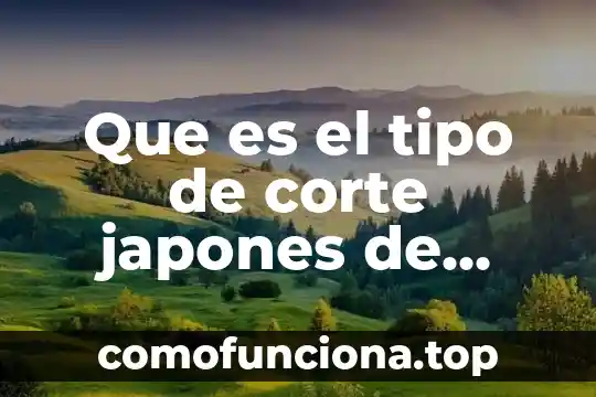 Qué es el arte japonés 6 Que es el tipo de corte japones de papel
