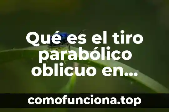 Qué es el movimiento parabólico ejemplos 3 Qué es el tiro parabólico oblicuo en física