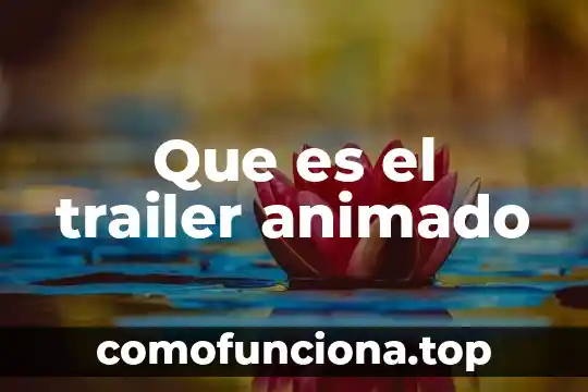 Que es la sinceridad en los valores 8 Que es el trailer animado