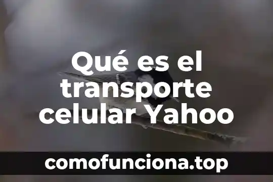 Que es hibrido celular 7 Qué es el transporte celular Yahoo
