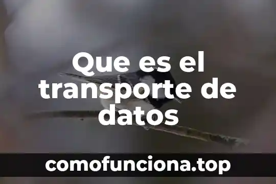 Qué es un canal de datos en informática 6 Que es el transporte de datos