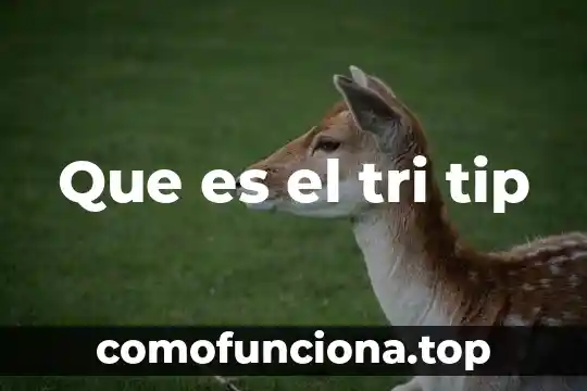 Que es chisel tip 6 Que es el tri tip