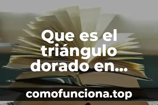 Que es el curp en mexico para extranjeros 8 Que es el triángulo dorado en mexico