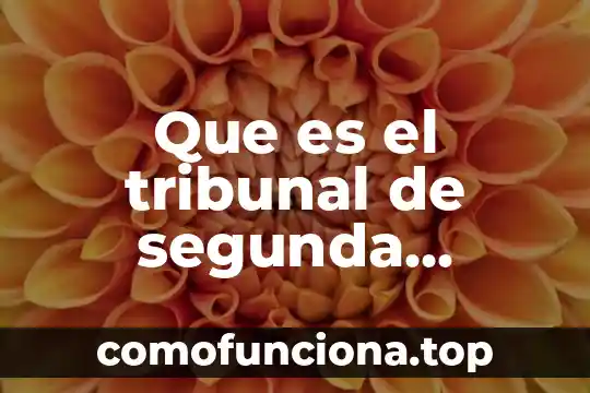 Que es tribunal federal de justicia administrativa jurisprudencia 6 Que es el tribunal de segunda instancia penal mexico