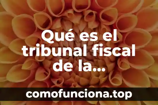 Que es tribunal federal de justicia administrativa jurisprudencia 8 Qué es el tribunal fiscal de la federación