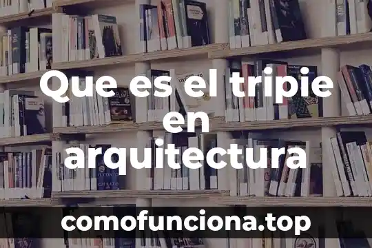 Qué es singularidad en arquitectura 5 Que es el tripie en arquitectura