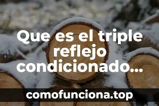 Qué es la banda en música 5 Que es el triple reflejo condicionado en musica