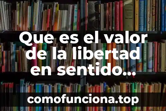 Que es libertad segun botero 8 Que es el valor de la libertad en sentido juridico