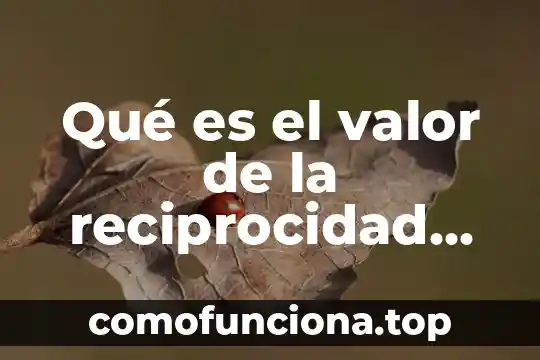 Que es reciprocidad significado 3 Qué es el valor de la reciprocidad para niños