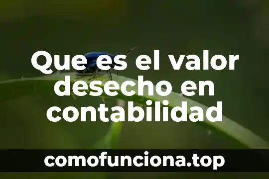 Qué es concepto de noción contabilidad 3 Que es el valor desecho en contabilidad