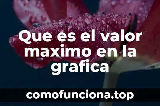 Que es valor de verdad geometria 3 Que es el valor maximo en la grafica