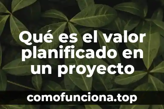 Qué es el movimiento mecánico 3 Qué es el valor planificado en un proyecto
